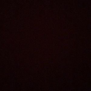 Meet your Posher, Joey